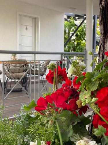 Villa Nero — 4-Star Luxury Hotel in Nea Plagia, Greece