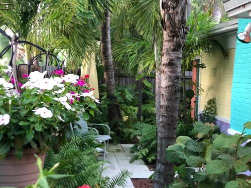 Calypso Inn Wilton Gay Male Resort - photo 16