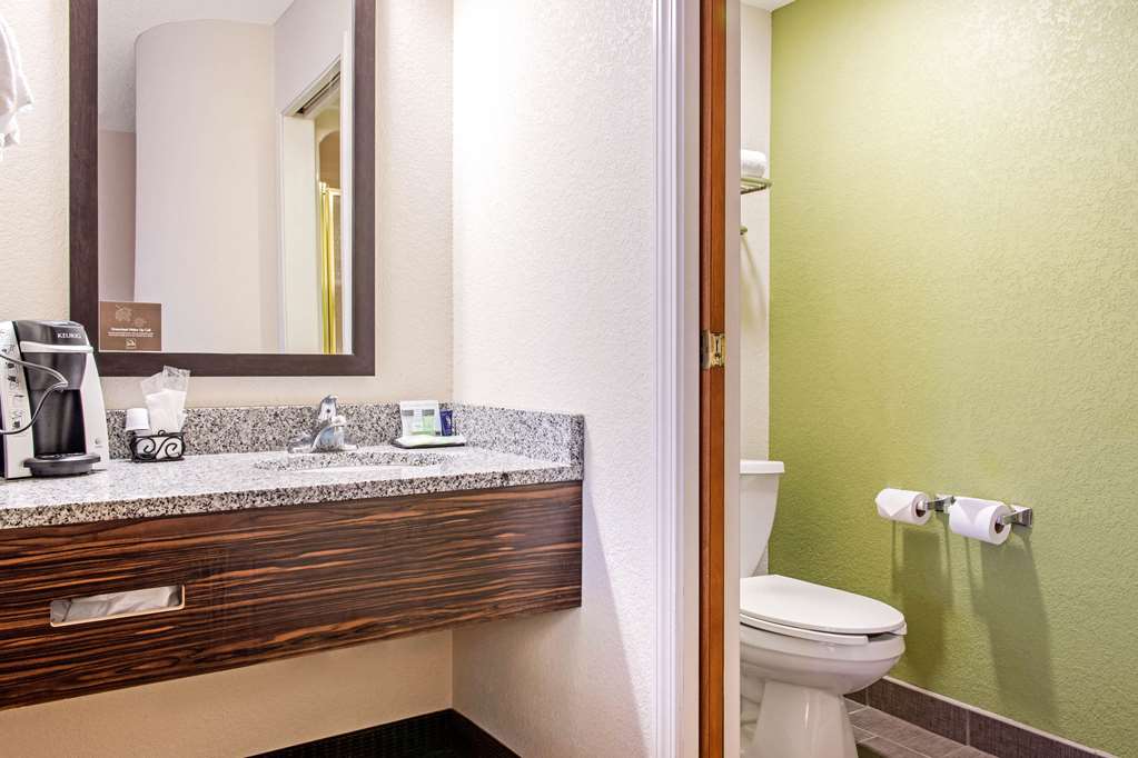 Sleep Inn & Suites Columbus South - photo 9