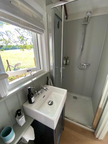 Coachroad Shepherds Huts — Petworth — photo 4