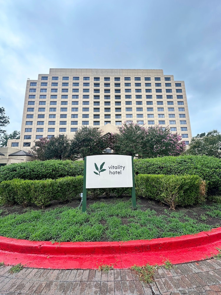 Hotel Memphis Vitality - photo 69