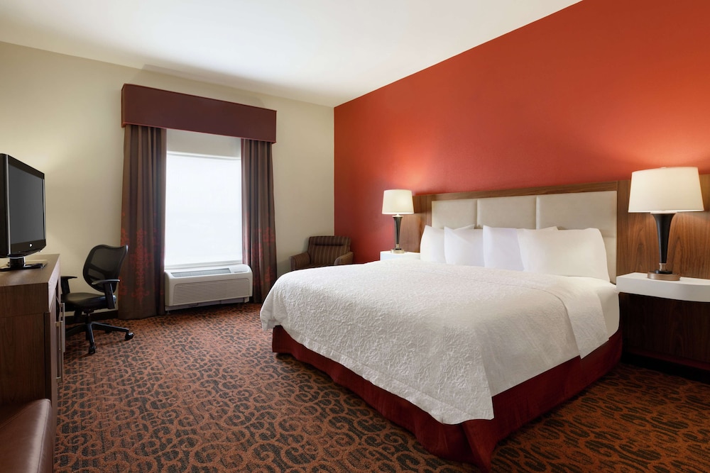 Hampton Inn Wichita Falls Sikes Senter Mall - photo 16