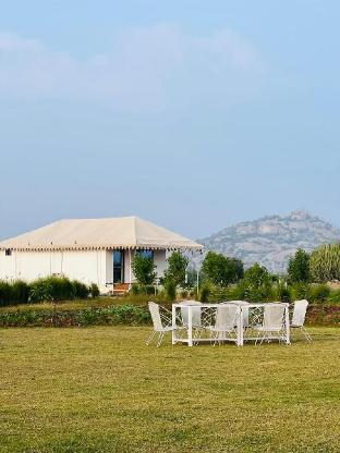Jawai skylark — hotel in Bisalpur