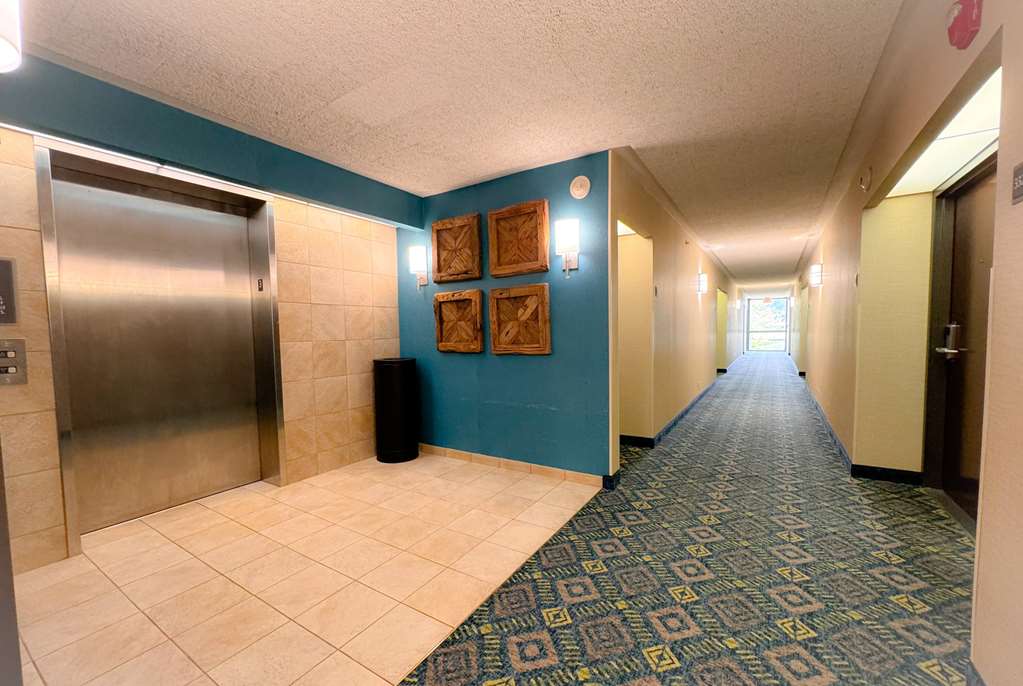 Heritage Inn & Suites St. Louis Fenton Trademark by Wyndham - photo 27