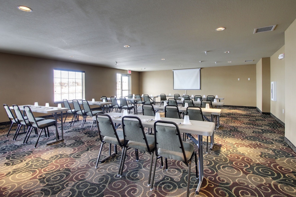 Cobblestone Inn & Suites Harvey - photo 44