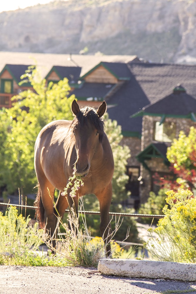 The Retreat on Charleston Peak - photo 87