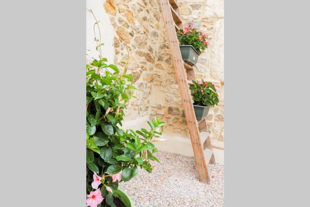 La Porte du Midi — Bize-Minervois — photo 5