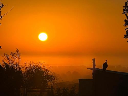 Romantic Best View Saïss Bay Estate Coco Green in Unknown City, Morocco