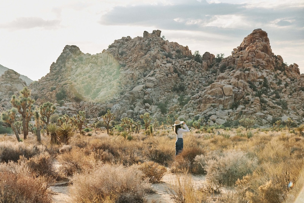 Field Station Joshua Tree - photo 26