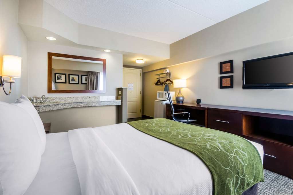 Comfort Suites at Woodbridge - photo 8
