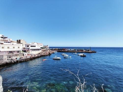Costa Los Abrigos in Santa Cruz De Tenerife, Spain
