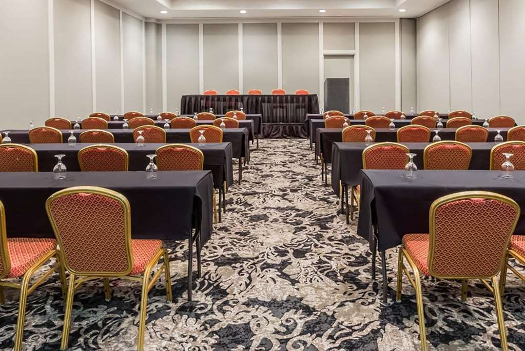 Wyndham Houston near NRG Park Medical Center - photo 34