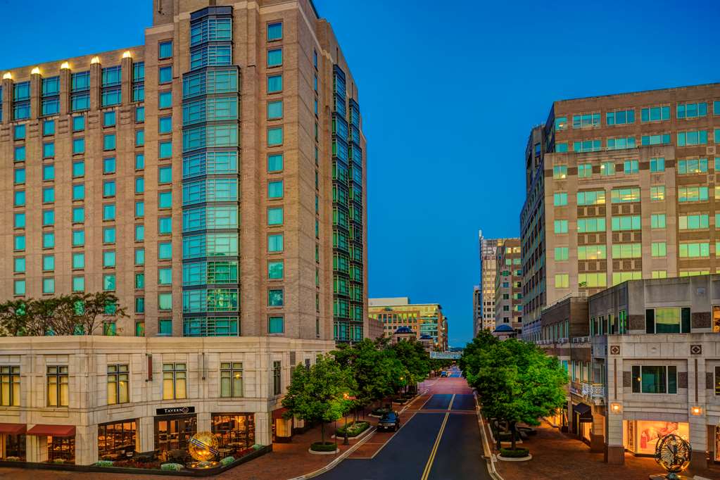 Hyatt Regency Reston - photo 14