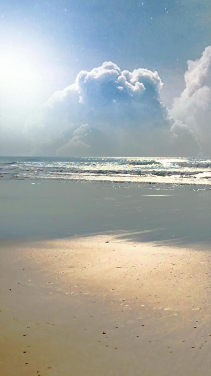 T2 Bord de Plage Et Piscine — Biscarrosse — photo 2