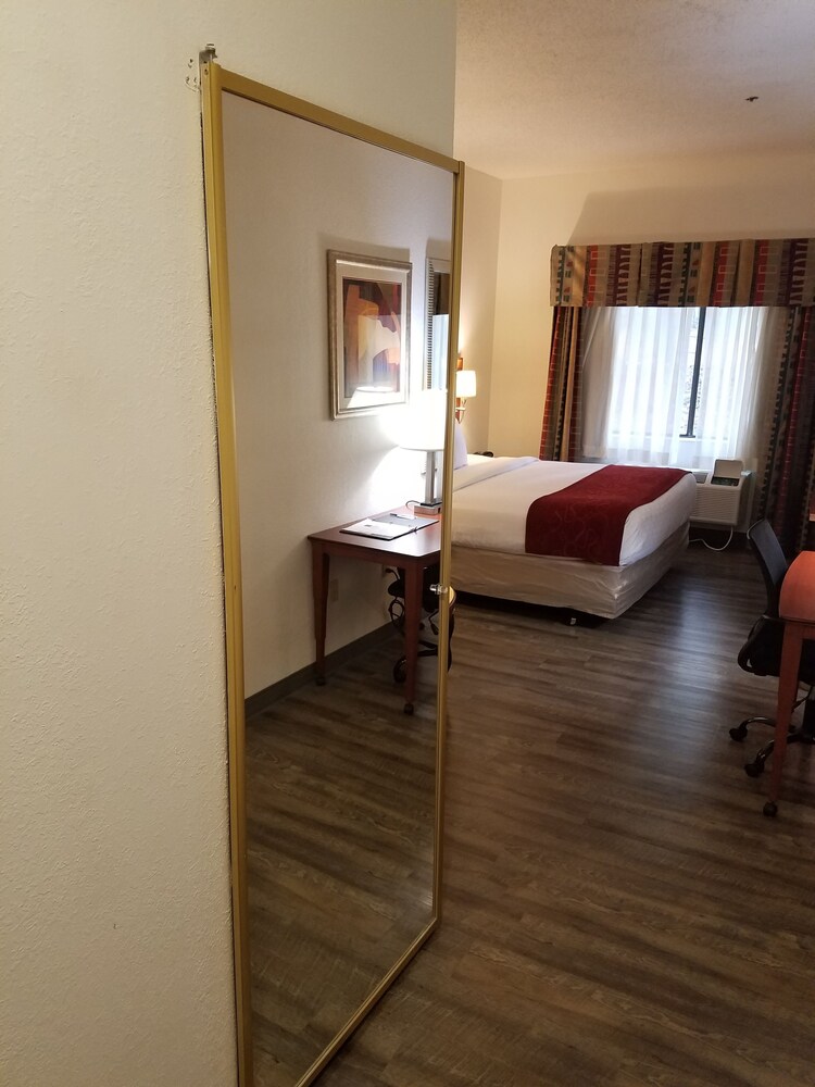 Spark by Hilton Duluth - photo 37