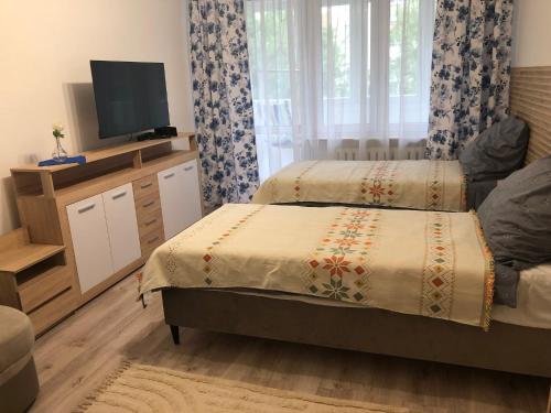 Apartament Jana Paw A 21753724 — Wlodawa