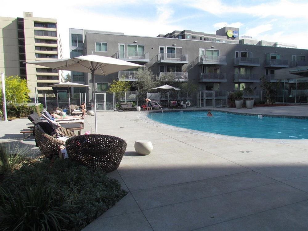 Luxury Place in Downtown - photo 3