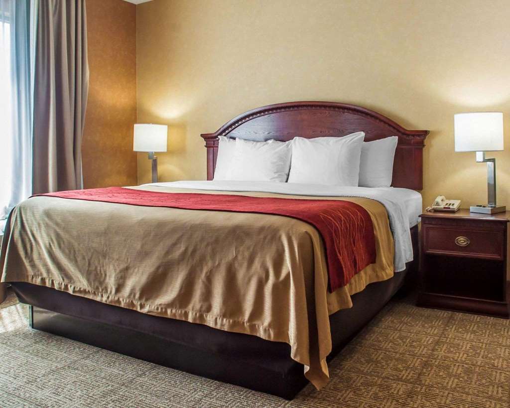 Quality Inn Near Walden Galleria Mall - photo 18