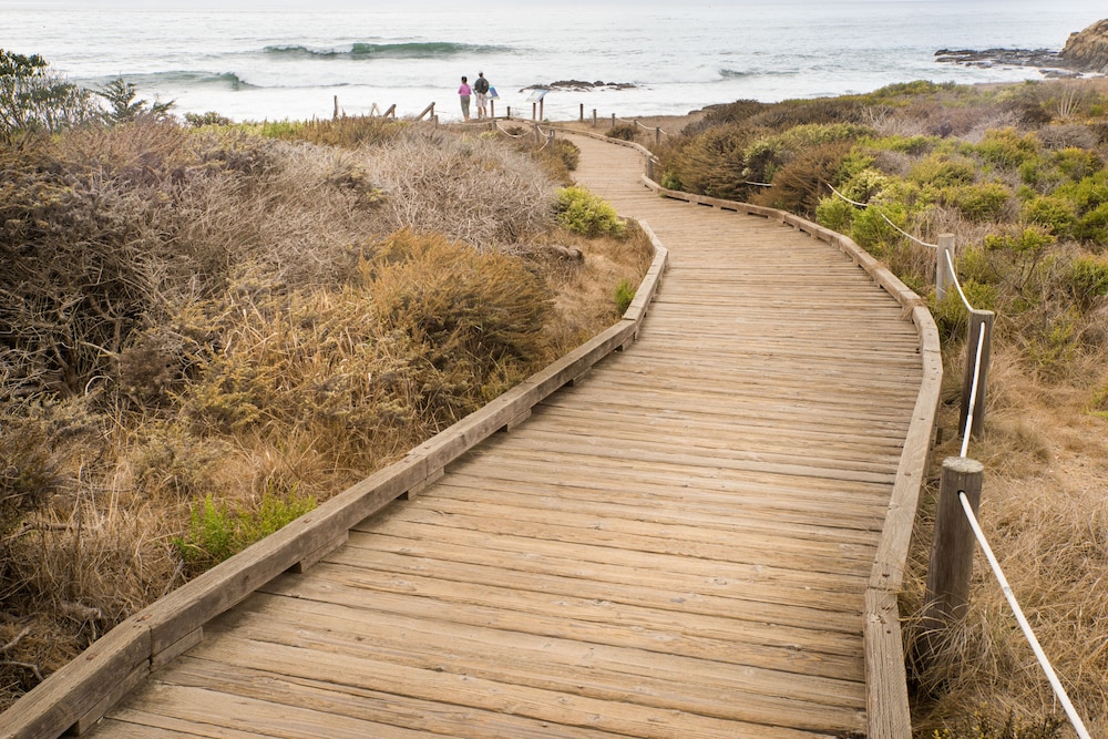 Sea Otter Inn - photo 36