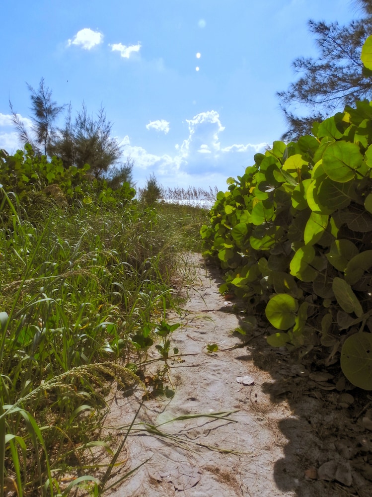 Casey Key Resorts Beachfront - photo 66