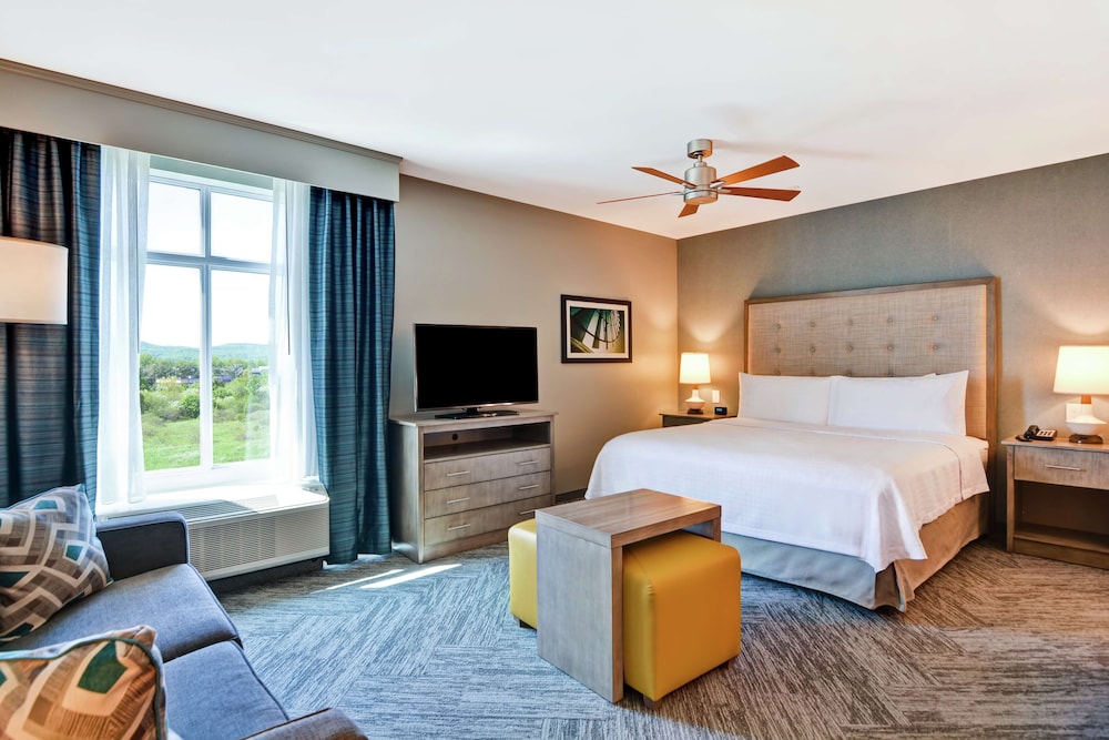 Homewood Suites by Hilton Hadley Amherst - photo 16