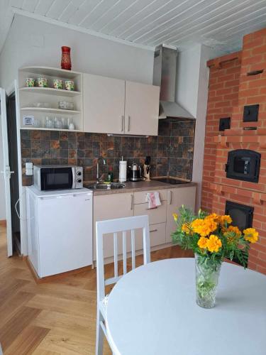 Vasarnamis Zarasuose Vysnia 21250747 — Zarasai