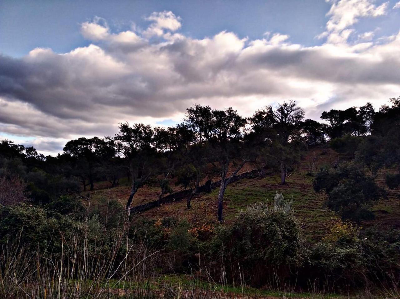 El Rincon de Alajar