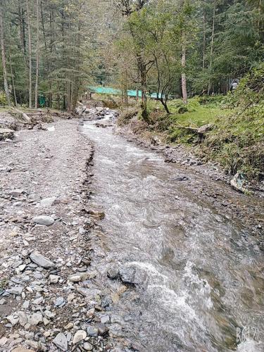 Hill View Regency - carbon neutral hotel in Shimla