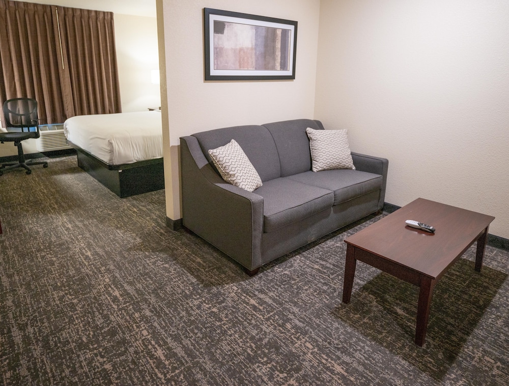 Cobblestone Hotel & Suites Lamar - photo 29
