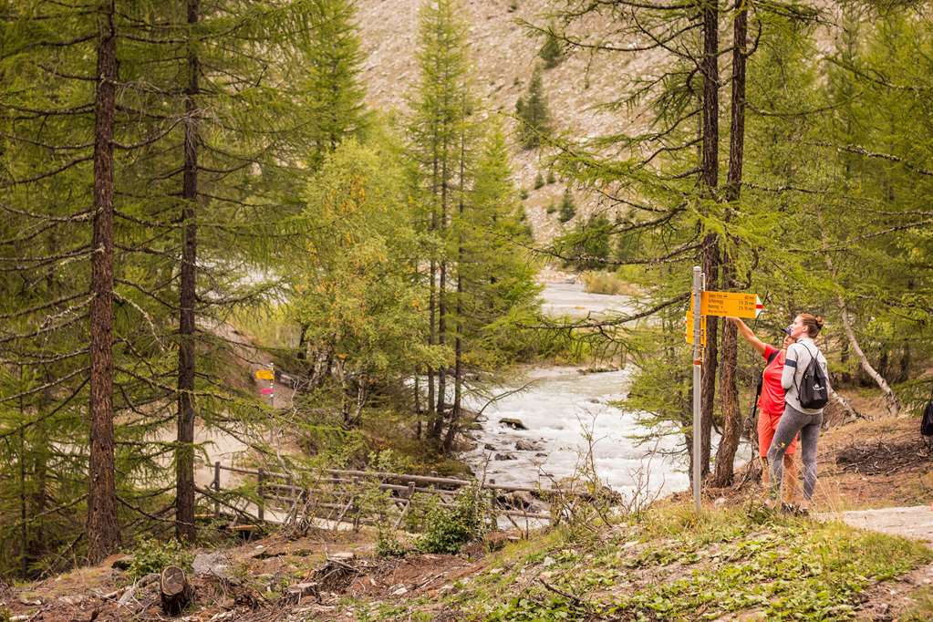 The Capra Saas Fee — Saas-Fee — photo 3