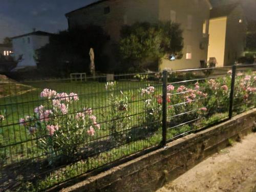 Ferienwohnung Adriaperle Villa Casper mit Whirlpool — Lopar — photo 4