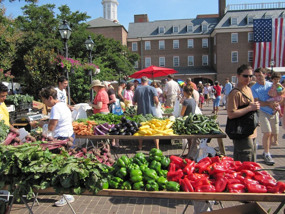 Hotel Indigo Old Town Alexandria by IHG - photo 39
