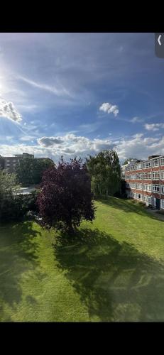 Leafy sanctuary in Putney — 4-Star Luxury Hotel in London, United Kingdom