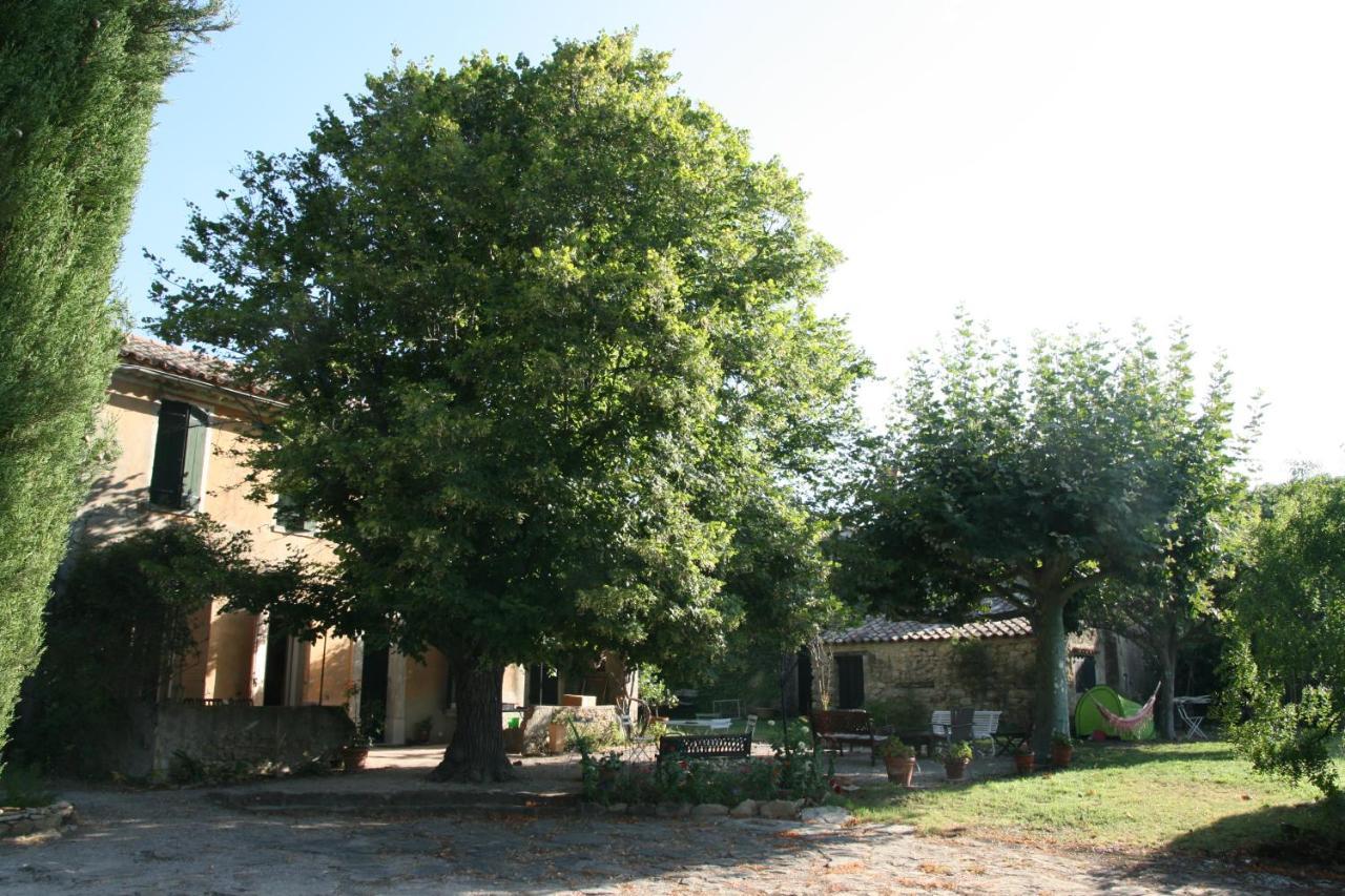 Castellet Mas Provencal Piscine Dans Les Vignes — hotel in Le Castellet