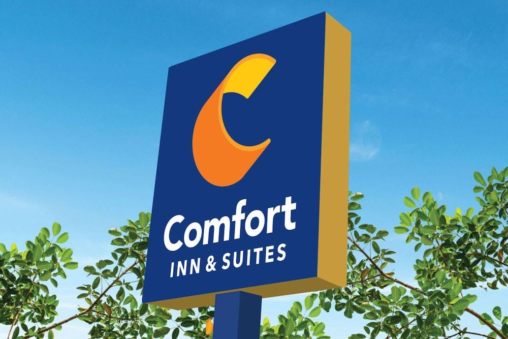 Comfort Inn & Suites Munising Lakefront - photo 3