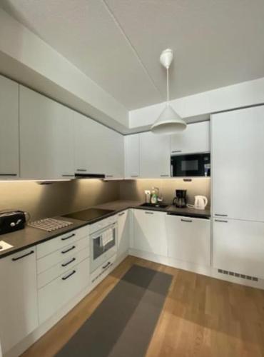Kotimaailma Kaunis tilava kolmio saunalla Helsingissä — 4-Star Luxury Hotel in Helsinki, Finland