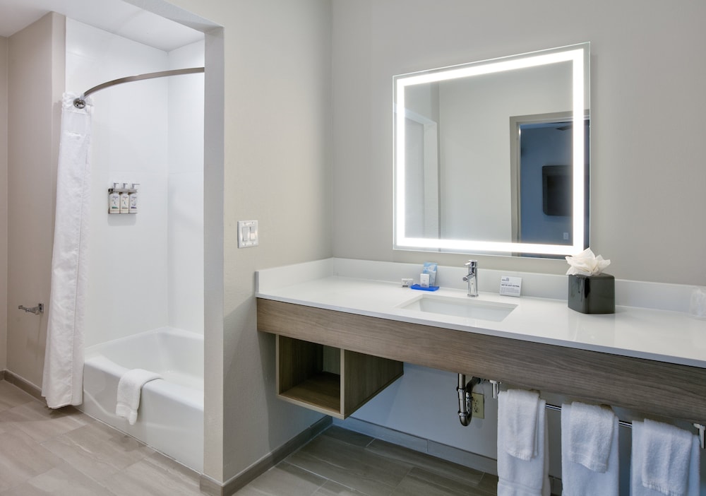 Holiday Inn Express & Suites North Dallas at Preston by IHG - photo 21