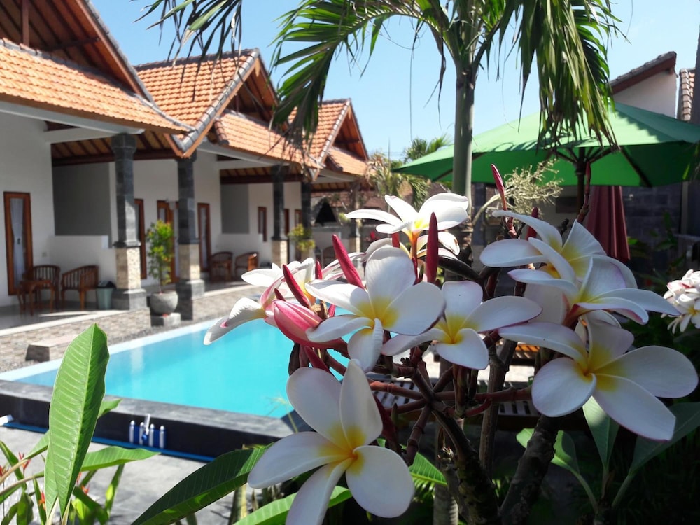 Miko Bungalow Nusa Penida — 4-Star Luxury Hotel in Bali, Indonesia