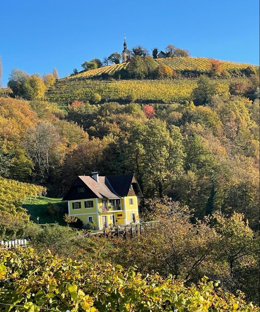 Malerisches Weingartenhäuschen in Kitzeck — Wildon — photo 3