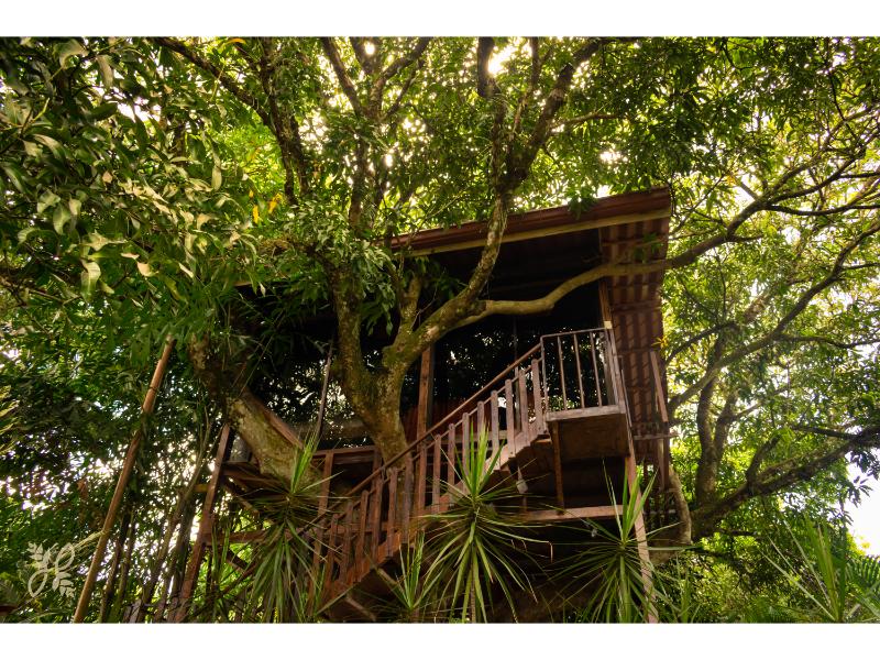 Heliconias Nature Inn & Hot Springs in Alajuela, Costa Rica