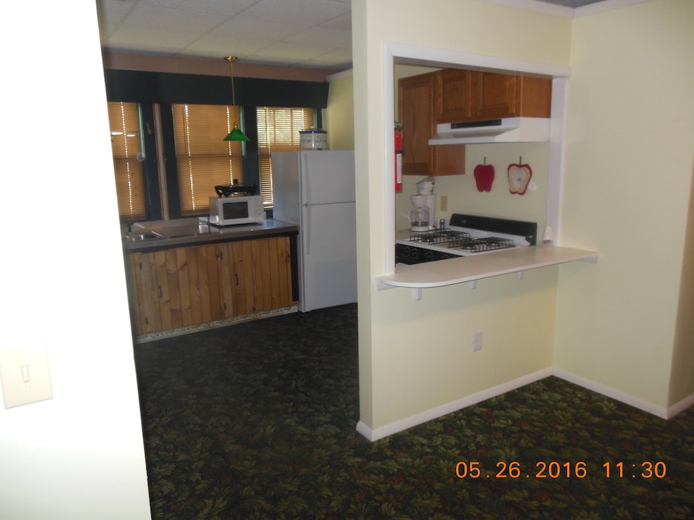 The Evergreen Motel - photo 51