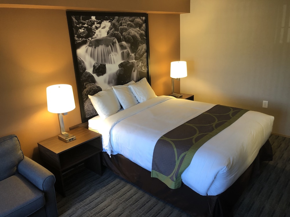 Super 8 Lynnwood - photo 7
