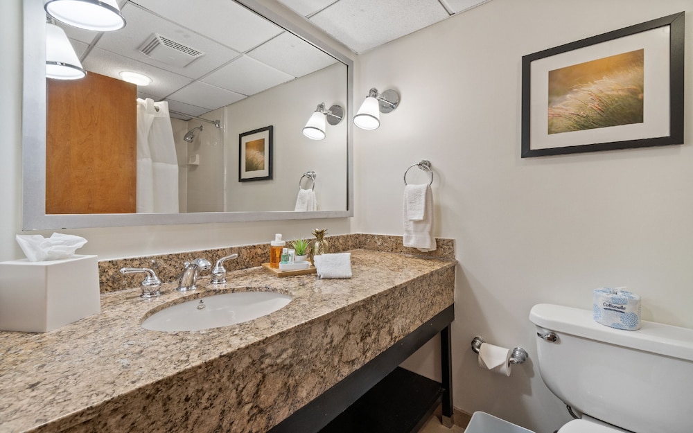 Four Points by Sheraton Charlotte - photo 41