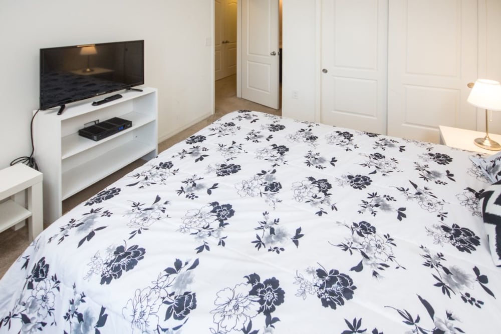 Compass Bay 3131 - photo 12