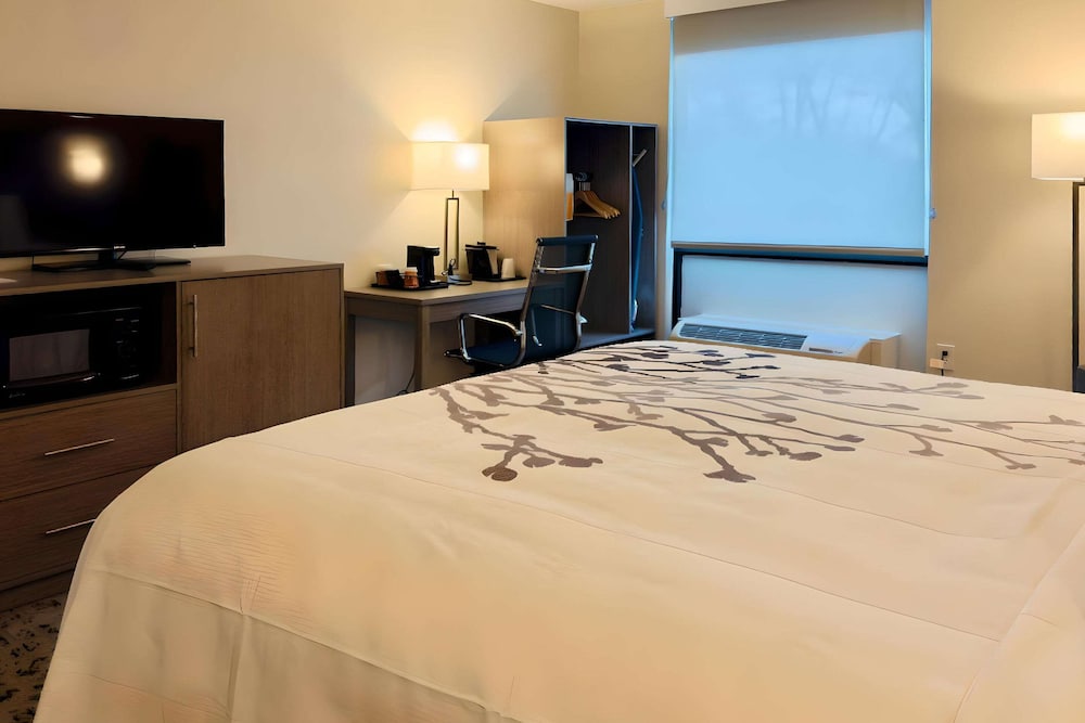 Sleep Inn - photo 11