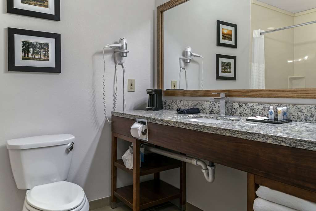 Comfort Inn East Oregon Toledo - photo 10