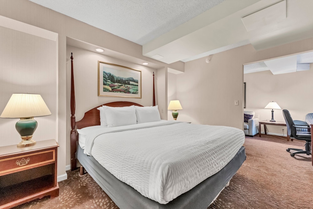 Buffalo Airport Hotel - photo 18