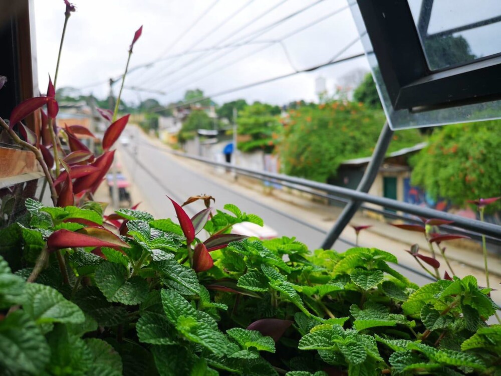 Paraiso Wasi in Tarapoto, Peru