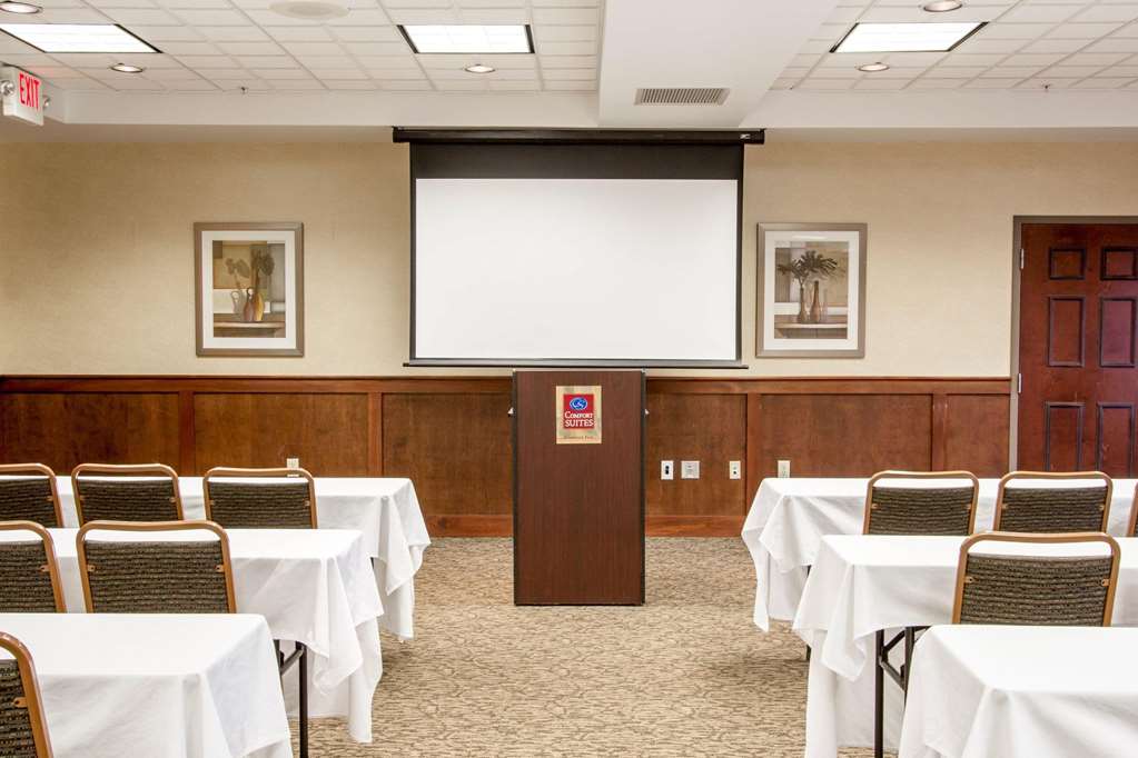 Comfort Suites Grand Rapids North - photo 34