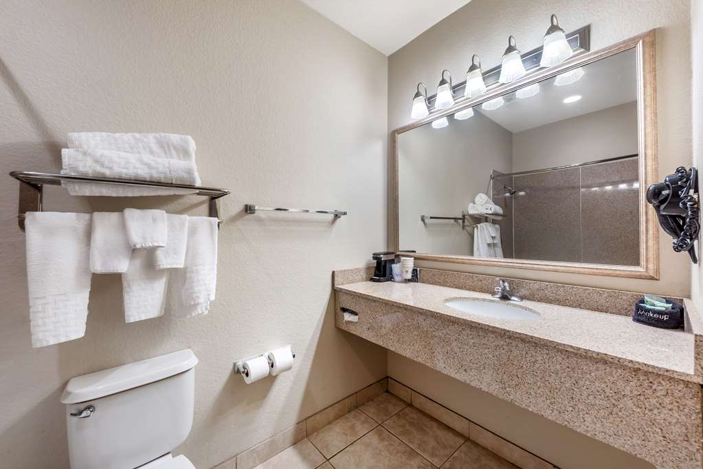 Best Western La Grange Inn & Suites - photo 16